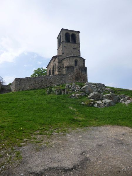 P1040736-1.jpg