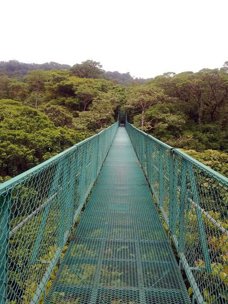 pont-suspendu-monteverde-costa-rica