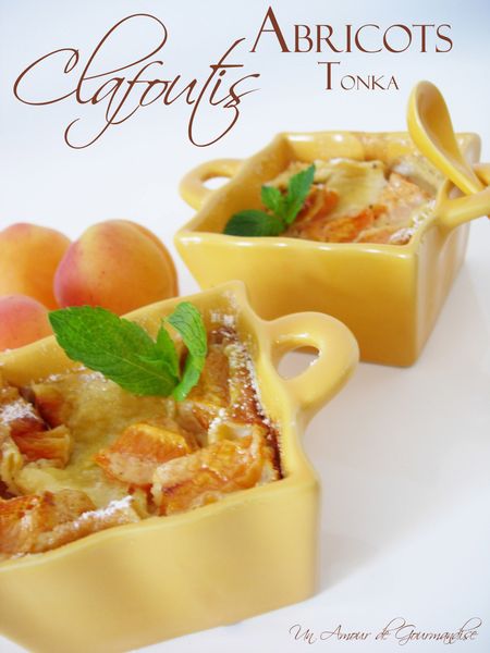 clafoutis-abricots1.jpg