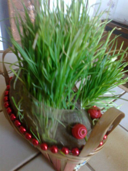 13042012439.jpg