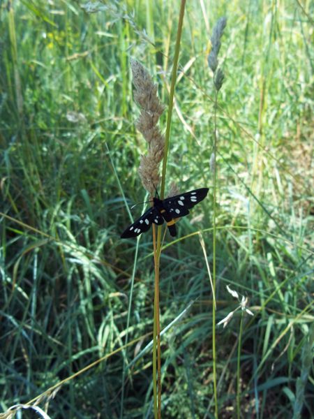 100_4042.JPG