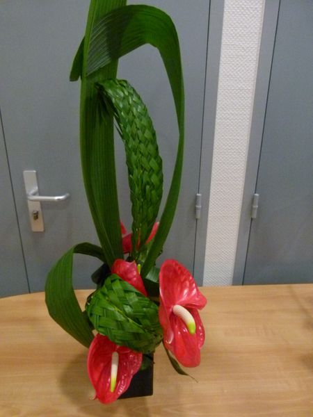 P1070620