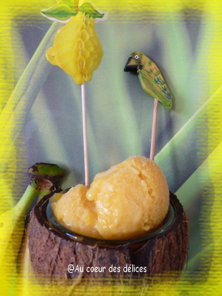 Sorbet-tropical---fruit-passion--mangue--papaye--citron-ver.jpg
