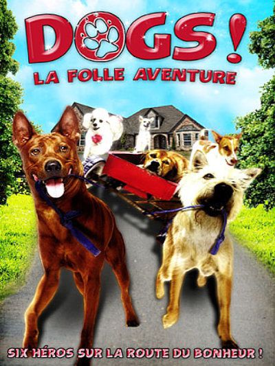 Dogs---La-folle-aventure--Ma-mha-4-khaa-khrap-.jpg