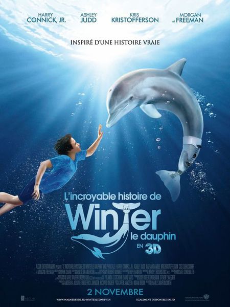 L-incroyable-histoire-de-Winter-le-Dauphin.jpg