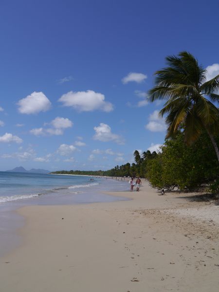 Martinique 2012 016