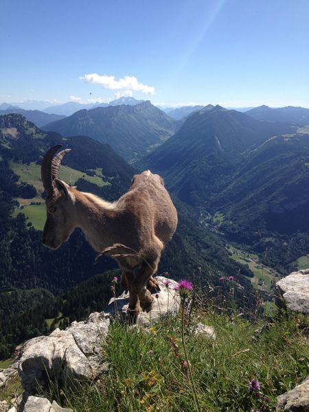 ESCAPADES-EN-MONTAGNES 0220