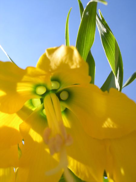 DSCN4030.JPG