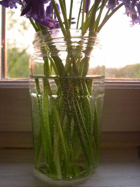 DSCN4258.JPG