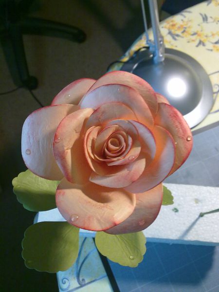 roses-sandrine-002.jpg