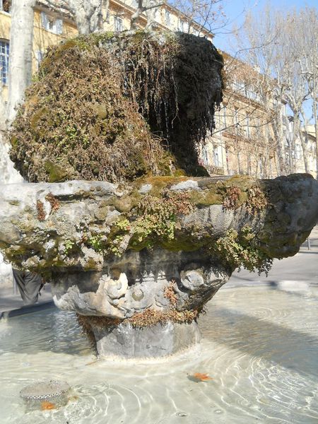 fontaine-moussue-2--2-.JPG