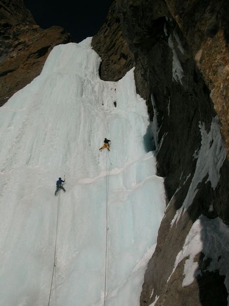 polar circus