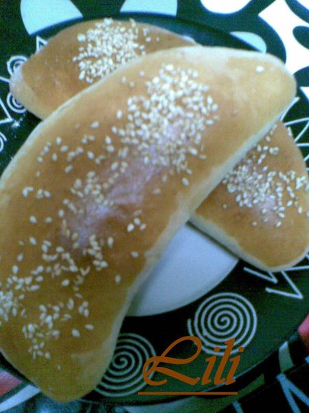 Photo035