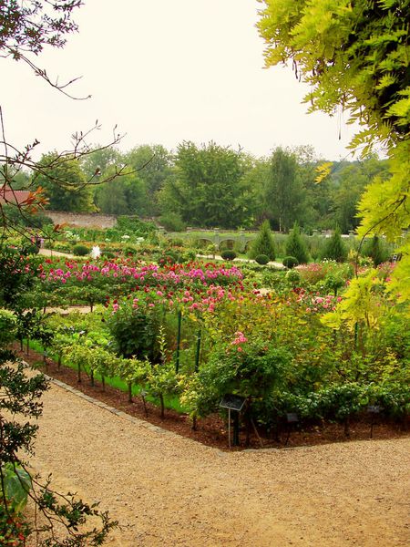 potagerdesprinces---le-potager-en-aout.jpg