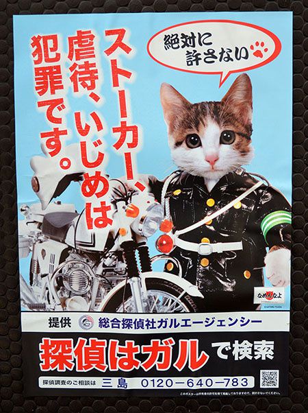 chat policier kawai japon japan police cat