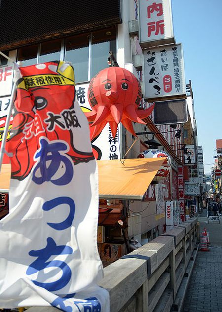 tako octopus poulpe japon
