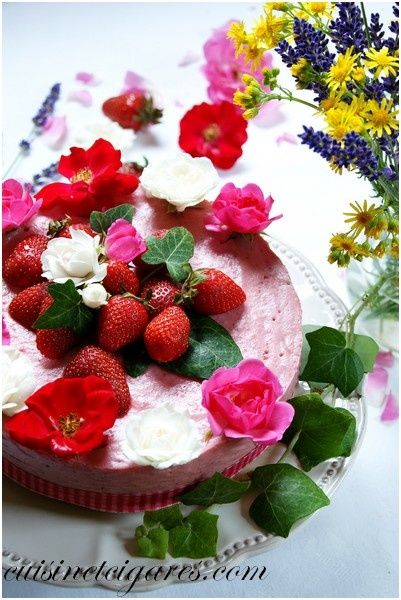 Bavarois Fraises Pistaches Solo