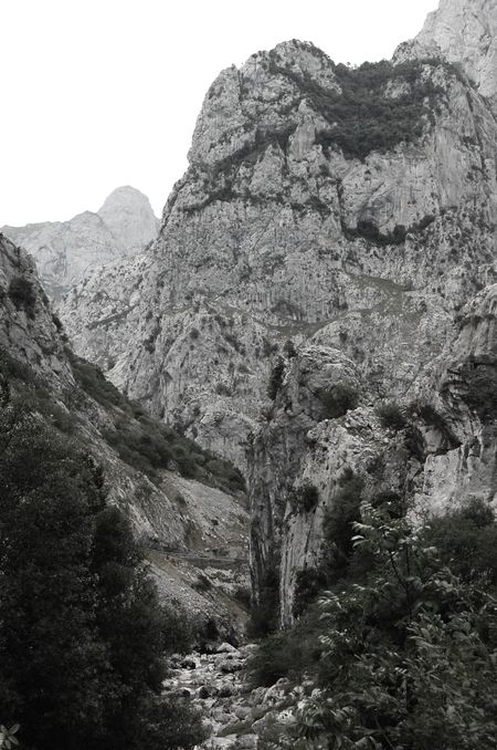 Asturies picos de europa n&b (16)