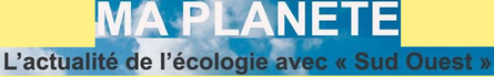 null societe civile sud ouest ma planète 00 art-copie-1