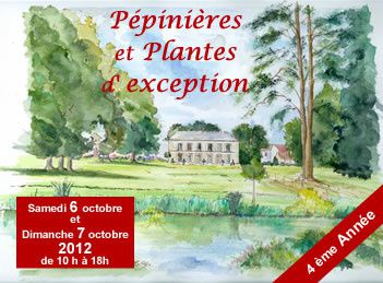 borest-fetes-aux-plantes.jpg