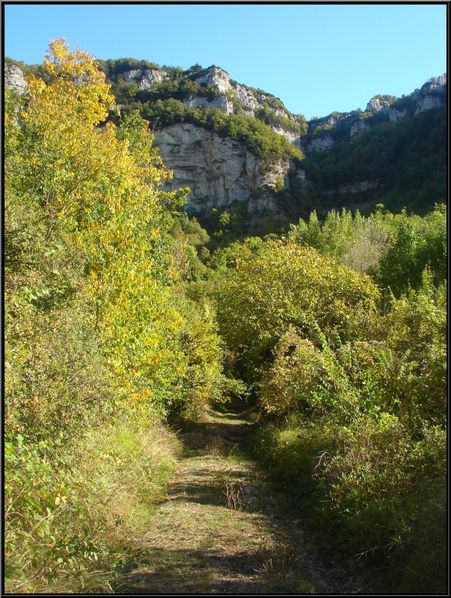 5-copie-5.jpg