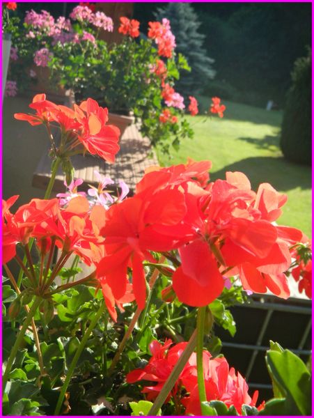 25.07.2012-008.JPG