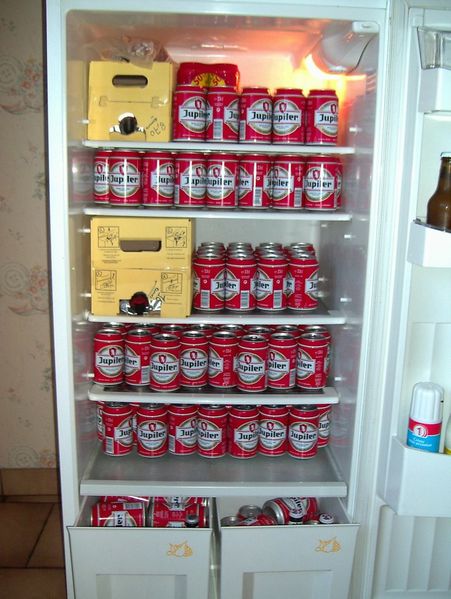 le-frigo-d-un-mec-certainement-64.jpg