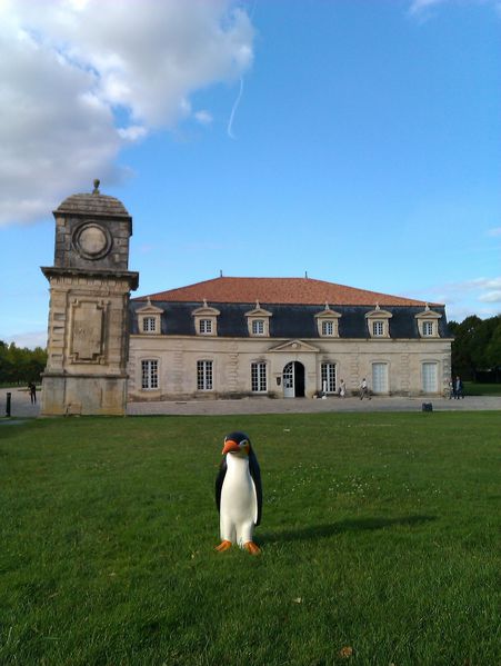 Pingu-Corderie-1.jpg