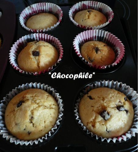 muffins3