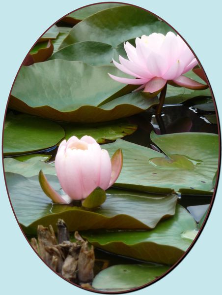 oval-dix.jpg