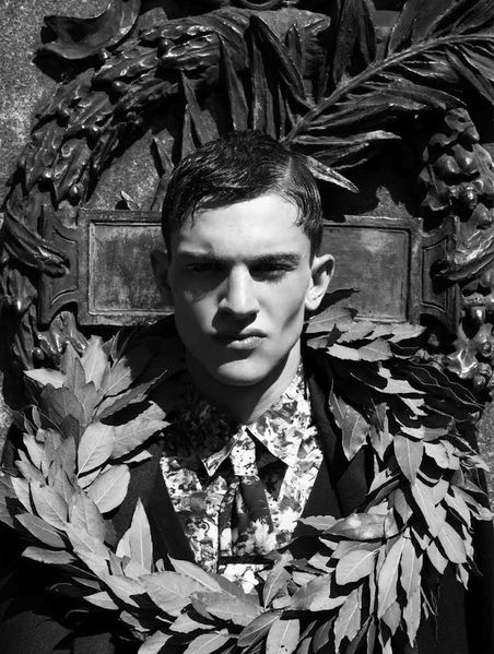 Stag-Homotography-03.jpg