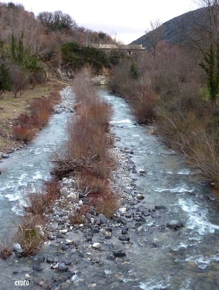 les-4-sous---torrent-033-a.jpg
