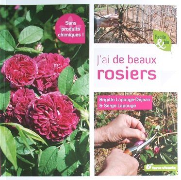 J-ai-de-beaux-rosier-1.JPG