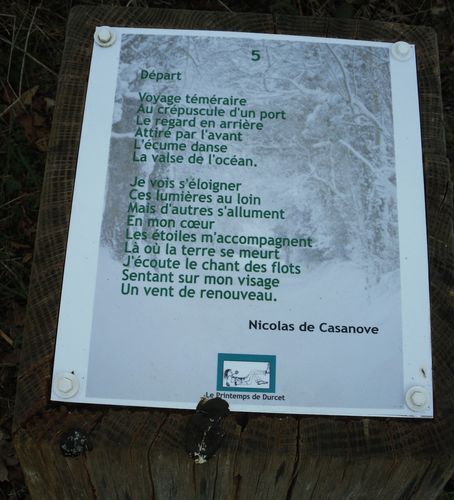 5casanove