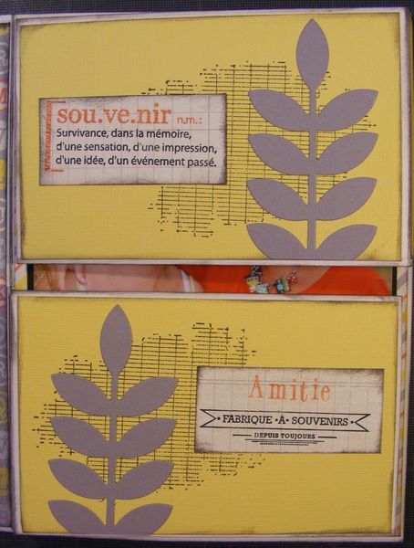 DSCF6386--Copier-.JPG