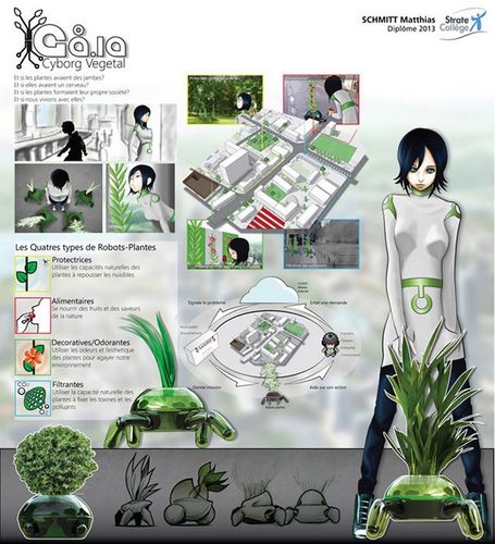 cyborg-vegetal2.jpg