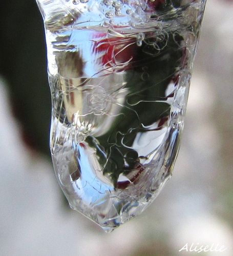 Goutte-glacee-2010--16.jpg