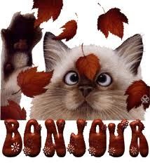 bonjour.jpg