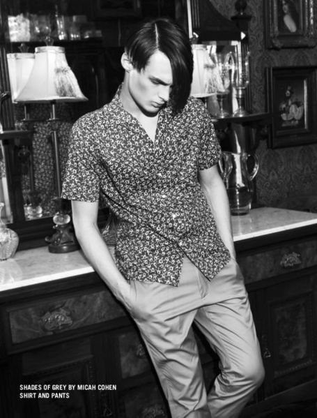 aristocrat-homotography-3.jpg