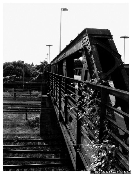 train-et-rails 0608