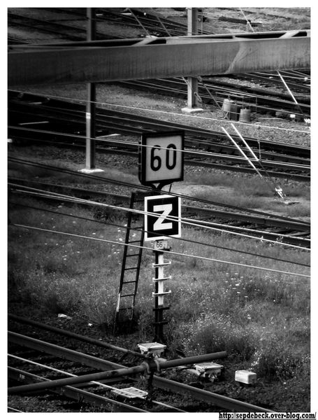 train-et-rails 0622