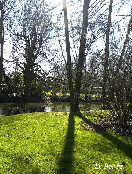 Rivière février5