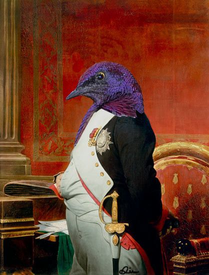 photo-montage oiseau empereur napoleon