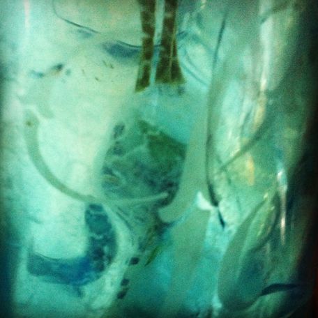 Transparence