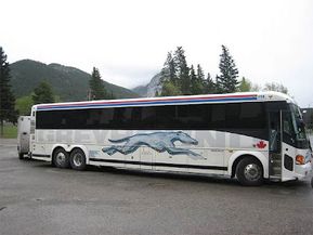 GreyhoundBus.jpg