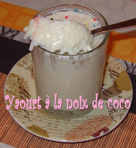 Yaourt à la noix de coco3