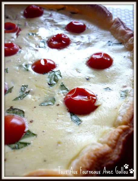tarte rapé jambon tomates gruyère basilic et fro-copie-1