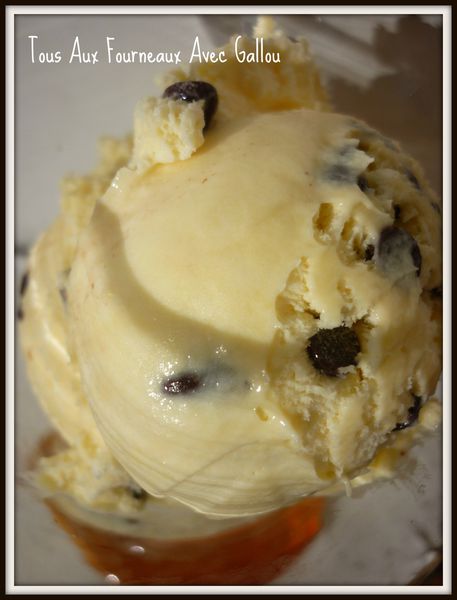 glace-choco-blanc-pepites-de-choco-noir-alsa.JPG