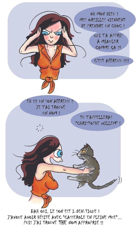 nom-chat0002.jpg