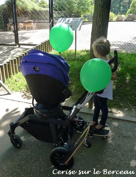 orbitbabyG3--13-.JPG